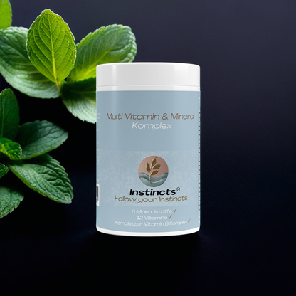 Multi Vitamin & Mineral Komplex - 120 Kapseln