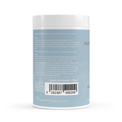 Multi Vitamin & Mineral Komplex - 120 Kapseln